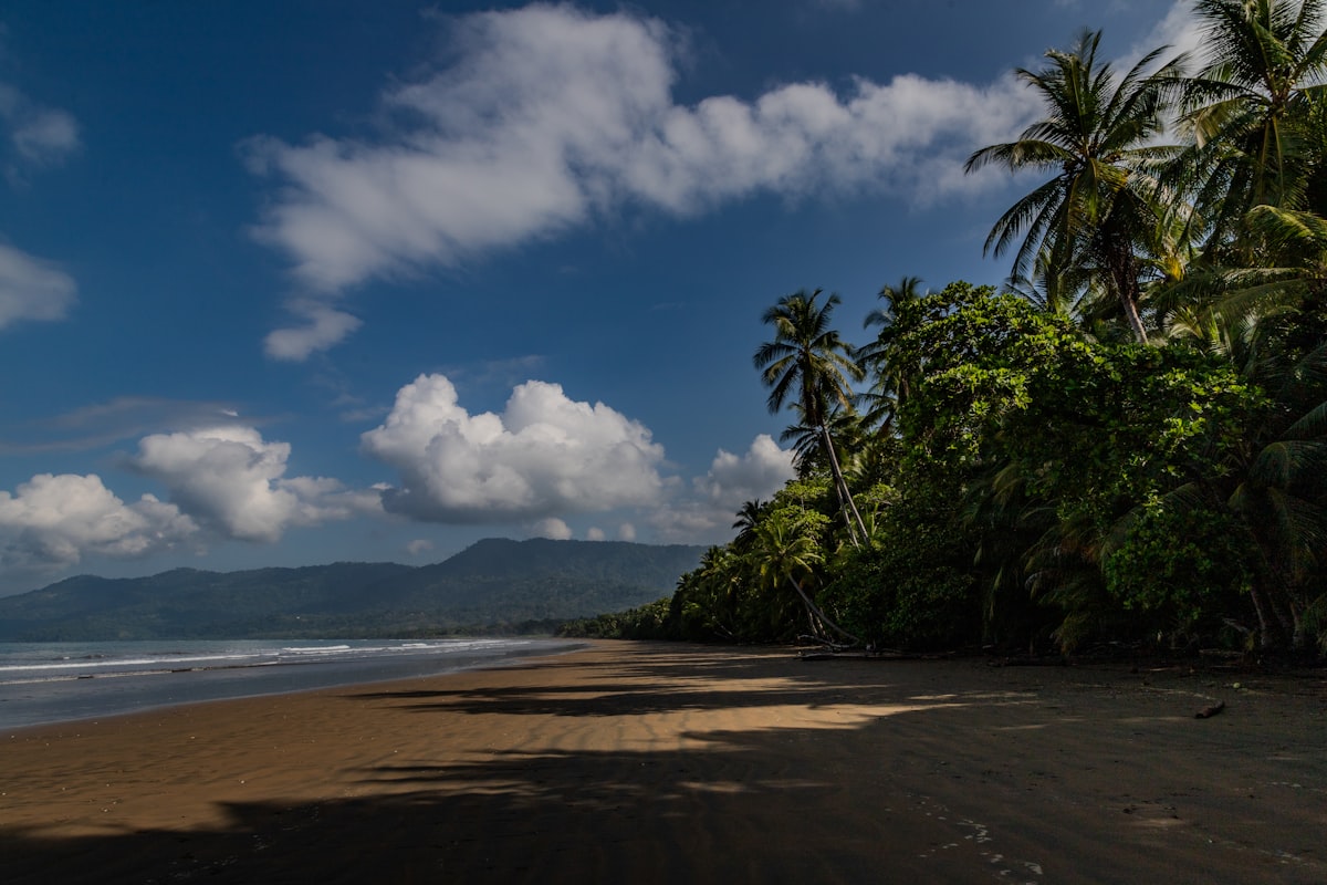 Playa de arena y selva tropical en Costa Rica