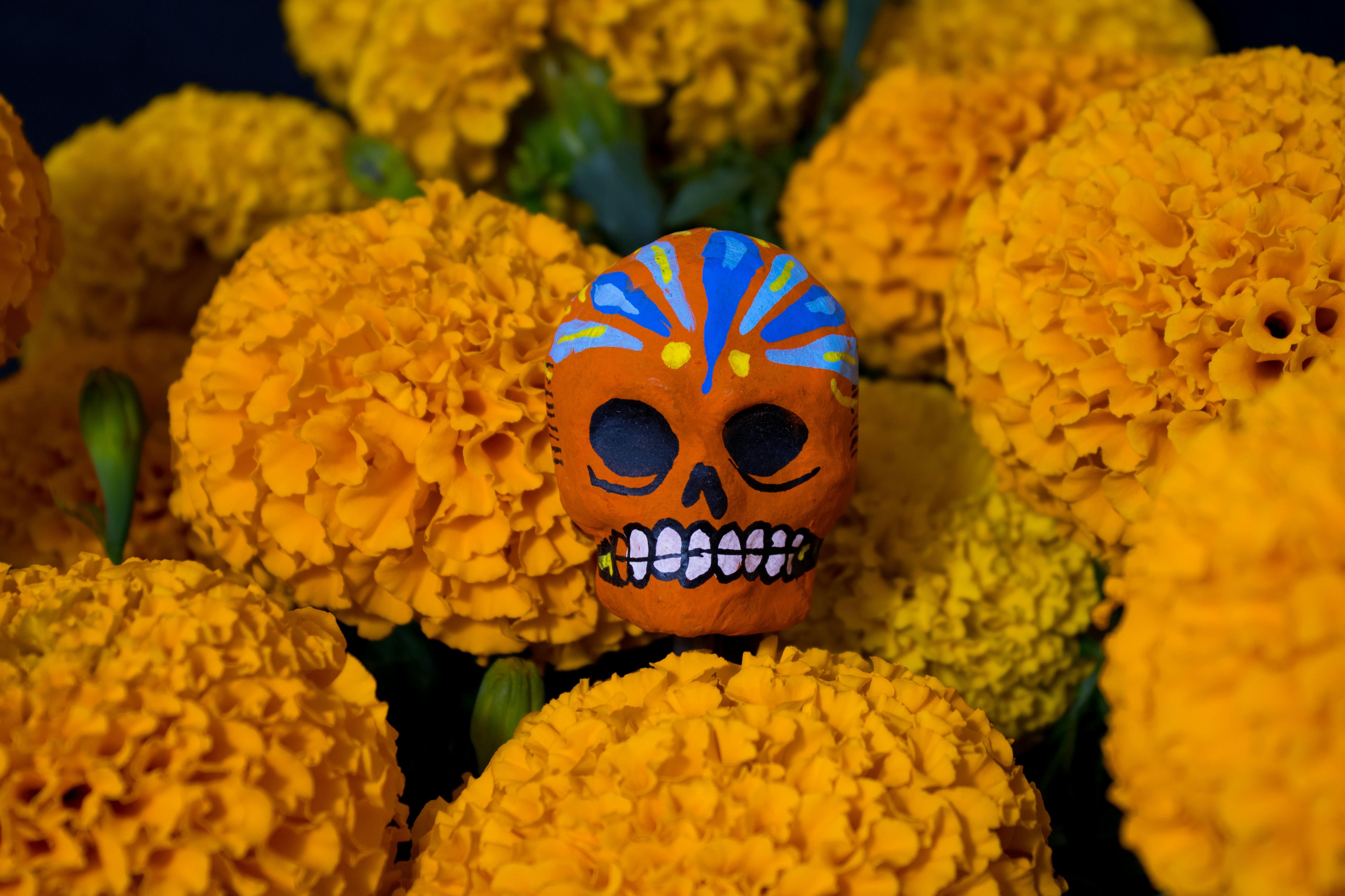 Día de Muertos en México 2026: Guía Cultural para Vivir esta Tradición Única