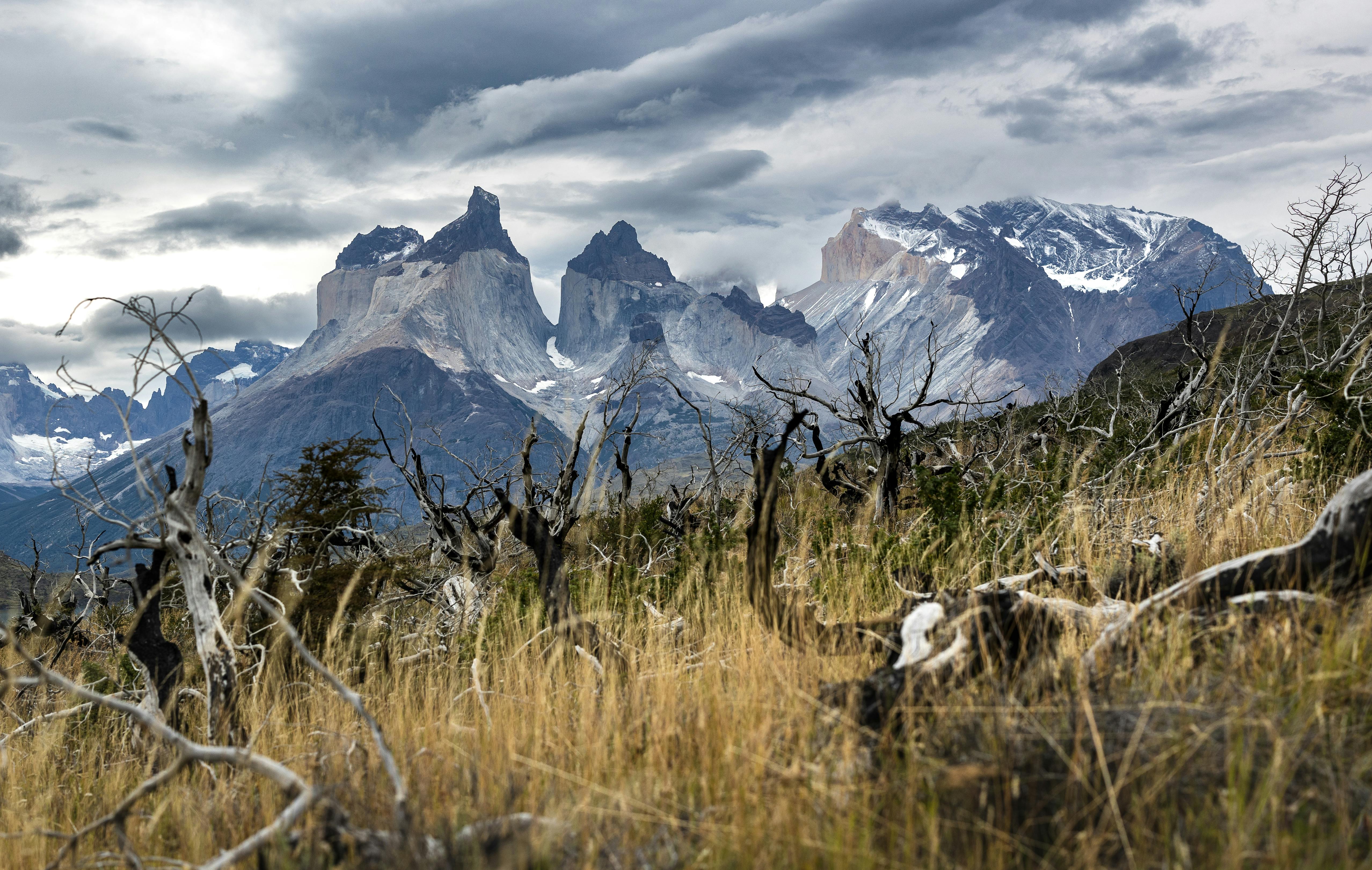 Patagonia Chilena y Argentina: La Guía de Aventura más Completa para 2026